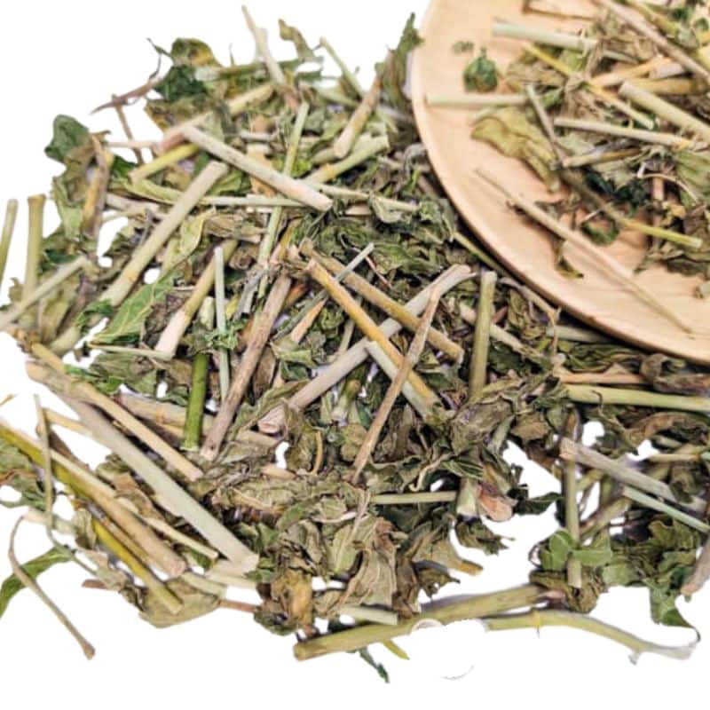 anh cay xuong khi chuan 3