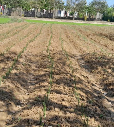 z7565355035711 c299ee61be96f33489716a3b67a2ed16