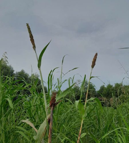 z7565355113432 d09f38d11c144d969308c92155148560