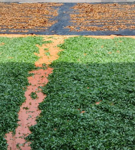 z7565355163224 3569c11b6e4bd6251cdeca80d21e4a47