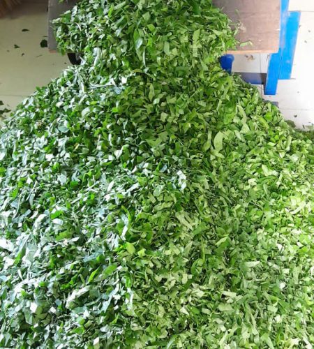 z7565355169126 029201711757b7c9cfcb32d4091dbce0