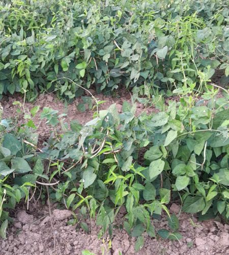 z7565355211125 5bb4c7fd21763f62f10dbb3ac514bc74