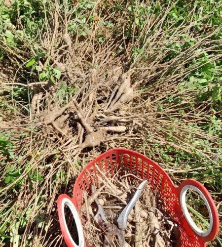 z7565355437186 b715ae900533a105844281dd7250121e