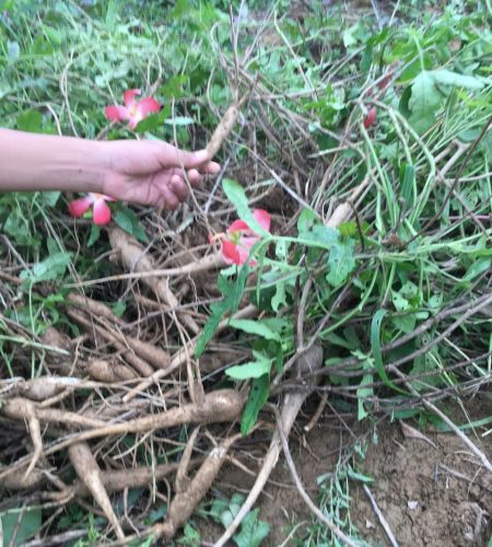 z7565355545023 e396a45ce3314ea7cd50ffef7d95d0e2