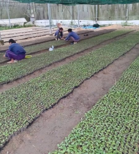 z7571799810944 5d4e8e8eb4ba7e3c91cd6b4d9fc9ed29